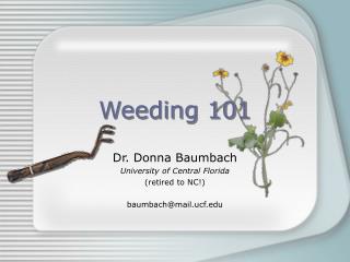 Weeding 101