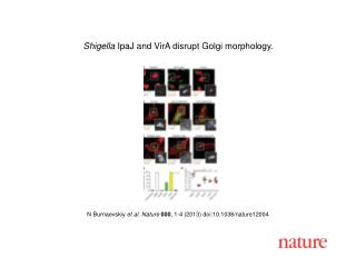 N Burnaevskiy et al. Nature 000 , 1-4 (2013) doi:10.1038/nature12004