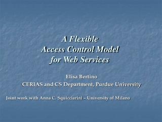 A Flexible Access Control Model for Web Services