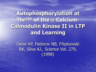 Autophosphorylation at Thr 286 of the  Calcium-Calmodulin Kinase II in LTP and Learning
