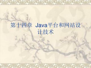 第十四章 Java 平台和网站设计技术