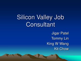 Silicon Valley Job Consultant