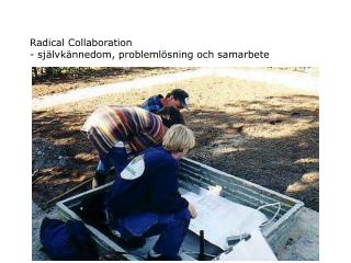 Radical Collaboration - självkännedom, problemlösning och samarbete