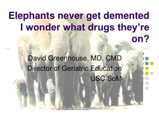 Elephants never get demented I wonder what drugs they’re on?