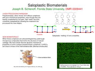 Saloplastic Biomaterials Joseph B. Schlenoff, Florida State University, DMR-0309441