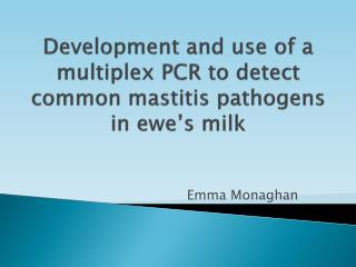 Development and use of a multiplex PCR to detect common mastitis pathogens in ewe’s milk