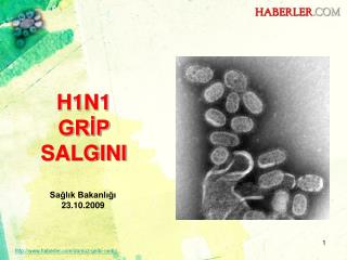 H1N1 GRİP SALGINI