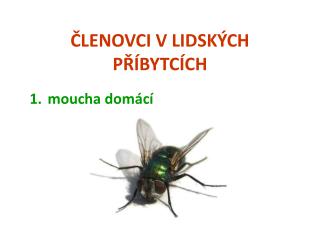 ČLENOVCI V LIDSKÝCH PŘÍBYTCÍCH