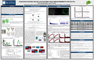 PHOTOACTIVATION YIELDS &amp; BLEACHING YIELD MEASUREMENTS FOR PA FPs M.S. Gunewardene* and S.T. Hess*