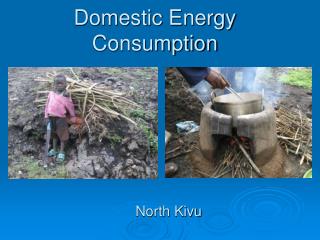 Domestic Energy Consumption