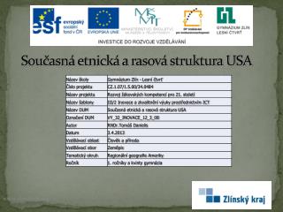 Současná etnická a rasová struktura USA