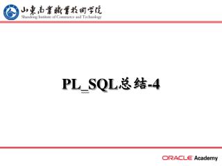 PL_SQL 总结 -4