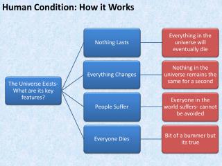 Human Condition: How it Works
