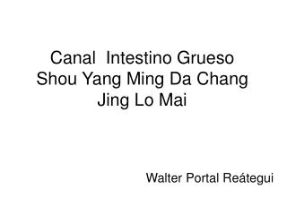 Canal Intestino Grueso Shou Yang Ming Da Chang Jing Lo Mai