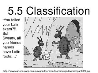 5.5 Classification