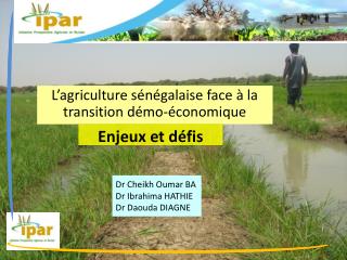 Dr Cheikh Oumar BA Dr Ibrahima HATHIE Dr Daouda DIAGNE