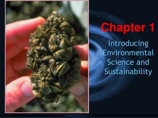 Introducing Environmental Science and Sustainability