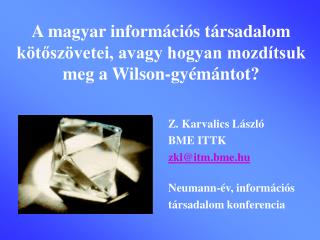 A magyar információs társadalom kötőszövetei, avagy hogyan mozdítsuk meg a Wilson-gyémántot?