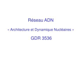 Réseau ADN « Architecture et Dynamique Nucléaires » GDR 3536