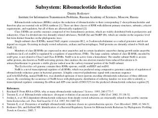 Subsystem: Ribonucleotide Reduction