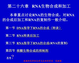 第二十六章 RNA 生物合成和加工