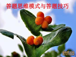 答题思维模式与答题技巧