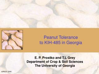 Peanut Tolerance to KIH-485 in Georgia