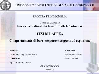 Relatore Ch.mo Prof. Ing. Andrea Prota Correlatore Ing. Domenico Asprone