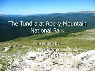 The Tundra at Rocky Mountain National Park