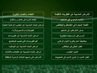 الأمراض المتسببة عن الفطريات الناقصة