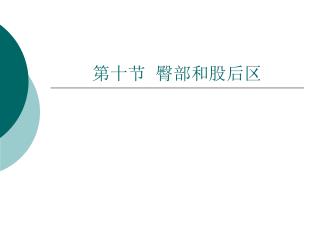 第十节 臀部和股后区