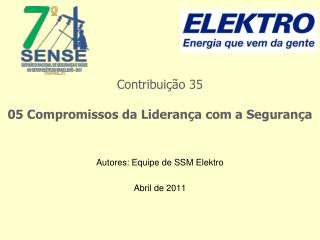 Autores: Equipe de SSM Elektro Abril de 2011