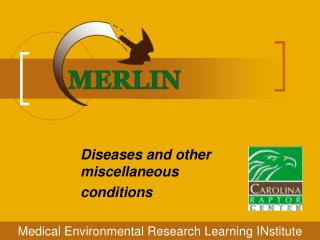 Diseases and other miscellaneous conditions