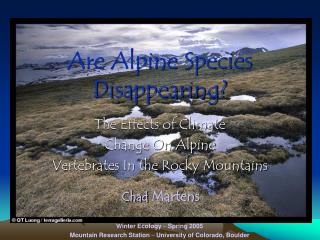 Are Alpine Species Disappearing?