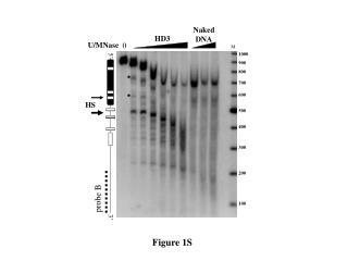 Figure 1S