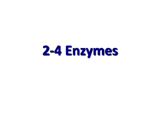 2-4 Enzymes