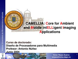 CAMELLIA: C ore for A mbient and M obile int ELL igent I maging A pplications