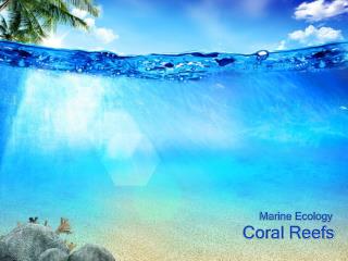 Coral Reefs