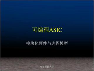 可编程 ASIC