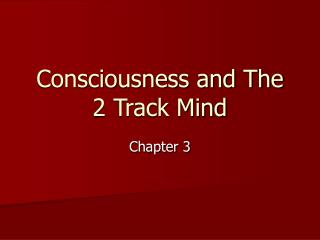 Consciousness and The 2 Track Mind