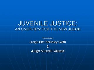JUVENILE JUSTICE: AN OVERVIEW FOR THE NEW JUDGE