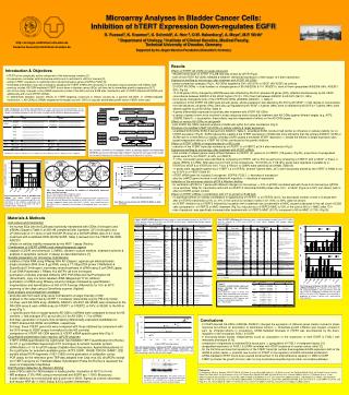 Microarray Analyses in Bladder Cancer Cells: Inhibition of hTERT Expression Down-regulates EGFR