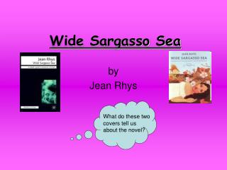 Wide Sargasso Sea