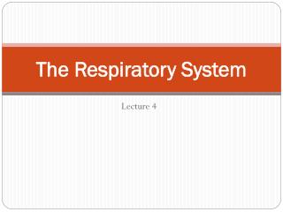 The Respiratory System