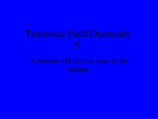 Tennessee Field Diamonds 5