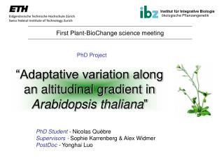 “Adaptative variation along an altitudinal gradient in Arabidopsis thaliana ”