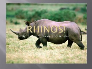 rhino for students free download