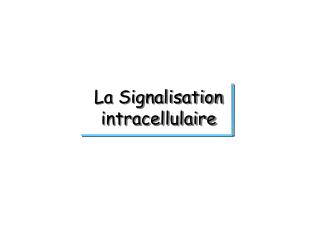 La Signalisation intracellulaire