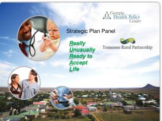 Strategic Plan Panel