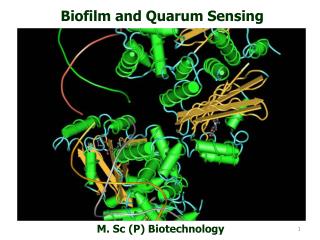 Biofilm and Quarum Sensing